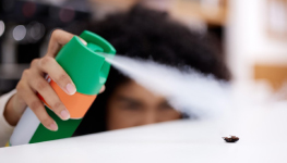 2024 Study of the Flea & Tick Control Product Market 